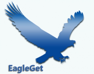EagleGet 2.0.4.11 Stable + Portable [Multi/Ru]