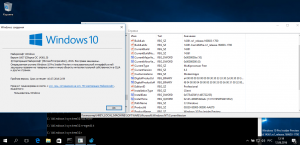 Microsoft Windows 10 Insider Preview Version 1607 build 10.0.14361 (esd) [Ru] + Language Pack