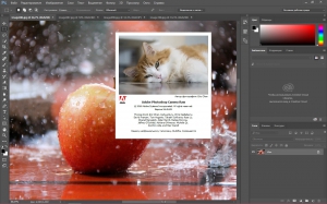 Adobe Photoshop CC 2015.5.0 (20160603.r.88) RePack by KpoJIuK [Multi/Ru]