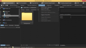 ACDSee Pro 9.3 Build 545 RePack by KpoJIuK [Ru/En]