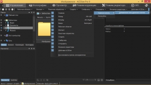 ACDSee Pro 9.3 Build 545 RePack by KpoJIuK [Ru/En]