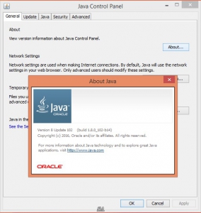 Java SE Runtime Environment 8.0 Update 101/102 [En]
