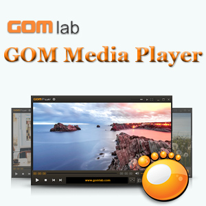 GOM Player 2.3.6 Build 5260 Final [Multi/Ru]