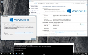 Microsoft Windows 10 Education 10.0.14393 Version 1607 -    Microsoft MSDN [Ru]