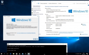 Microsoft Windows 10 Home Single Language 10.0.14393 Version 1607 -   [Ru]