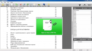 PDF Eraser Pro 1.7.0.4 [En]