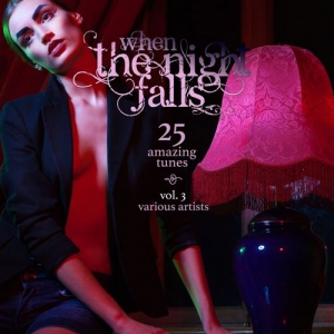 VA - When The Night Falls (25 Amazing Tunes) Vol. 3