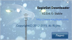 EagleGet 2.0.4.13 [Multi/Ru]