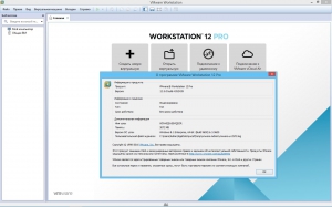 VMware Workstation 12 Pro 12.5.0 build 4352439 Lite RePack by qazwsxe [Ru/En]