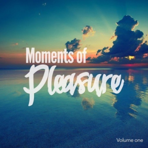 VA - Moments of Pleasure Vol.1