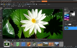 Corel PaintShop Pro X9 Ultimate 19.1.0.29 + Content [Multi/Ru]
