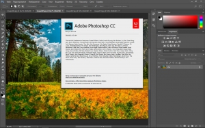 Adobe Photoshop CC 2017.0.0 2016.10.12.r.53 RePack by KpoJIuK [Multi/Ru]
