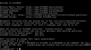 FreeBSD 11.0 RELEASE [amd64, i386, powerpc, powerpc64, sparc64, armv6*]