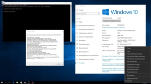 Microsoft Windows 10 Insider Preview Build 10.0.14965 (esd) [Ru/En]