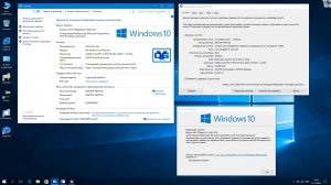 Microsoft Windows 10 Professional vl x86-x64 1607 RU by OVGorskiy 12.2016 2DVD [Ru]