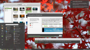 Linux Mint 18.1 Serena (Mate, Cinnamon) [32bit] 2xDVD