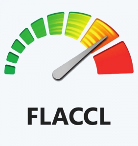 FLACCL 2.1.6 [En]
