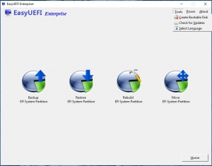 EasyUEFI Enterprise 2.8 Release 1 [Multi]