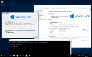 Microsoft Windows 10 Enterprise 10.0.14393.447 Version 1607 (Updated Jan 2017) -    Microsoft MSDN [Ru]