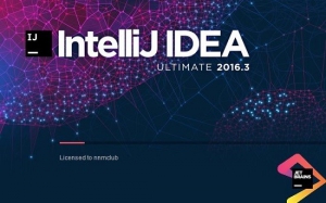 JetBrains IntelliJ IDEA Ultimate 2016.3.3 Build #IU-163.11103.6 [En]