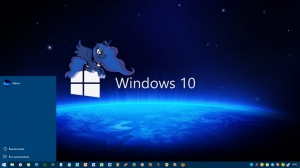  Windows10    .
