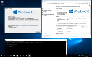 Microsoft Windows 10 Professional / Education 10.0.14393.447 Version 1607 (Updated Jan 2017) -    Microsoft VLSC [Ru]
