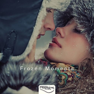 VA - Frozen Moments Vol.1