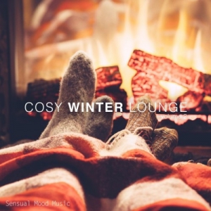 VA - Cosy Winter Lounge Vol.2