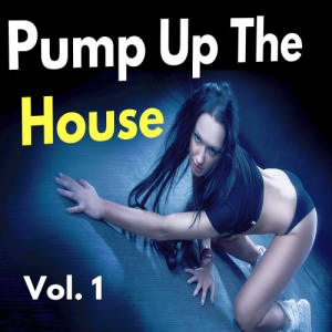 VA - Pump Up The House Vol 1