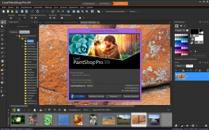 Corel PaintShop Pro X9 Ultimate 19.2.0.7 + Content [Multi/Ru]