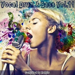 VA - Vocal Drum & Bass Vol.11 [Compiled by Zebyte]