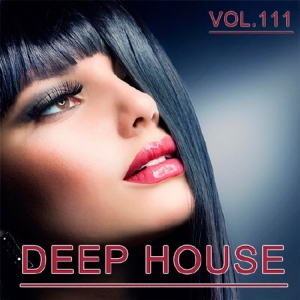 VA - Deep House Collection Vol.111