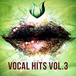 VA - Vocal Hits Vol.3