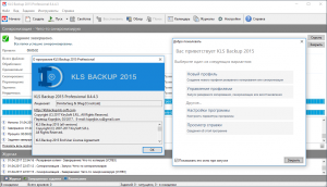KLS Backup 2015 Professional 8.4.4.3 [Ru/En]