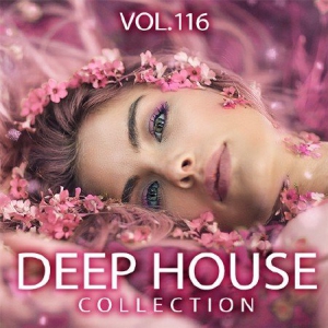 VA - Deep House Collection Vol.116