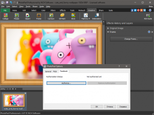PhotoPad Image Editor Professional 3.07 [En]