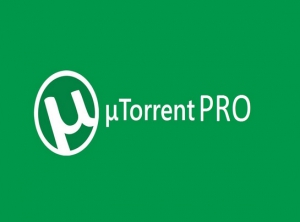 uTorrent 3.5.0 build 43580 Pro Portable by 379 [Multi/Ru]