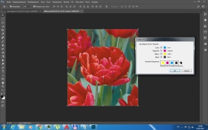 Esko DeskPack for Photoshop 16.0.2 [Multi]