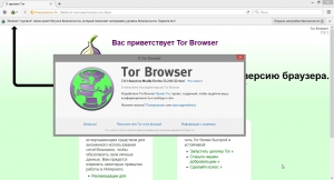 Tor Browser Bundle 7.0.1 Final [Ru/En]