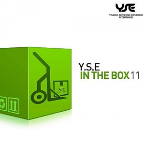VA - Y.S.E In The Box Vol.11