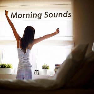 VA - Morning Sounds (The Best Of Extraordinary Chillout Lounge & Downbeat)