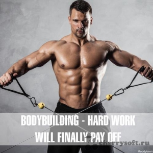  VA - Bodybuilding: Hard Work Will Finally Pay Off