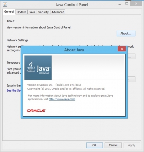 Java SE Runtime Environment 8.0 Update 141 [En]