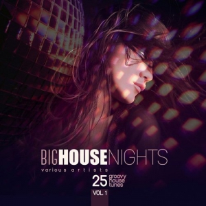 VA - Big House Nights (25 Groovy House Tunes) Vol 1