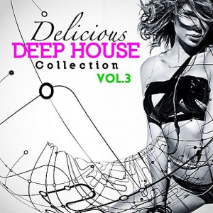 VA - Delicious Deep House Collection Vol.3