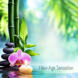  VA - New Age Sensation