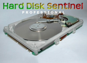 Hard Disk Sentinel Pro 5.01.7 Build 8557 [Rus/Multi]