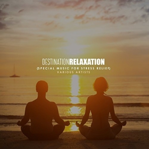 VA - Destination Relaxation (Special Music for Stress Relief)