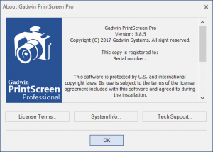 Gadwin PrintScreen Pro 5.8.5 [Eng]