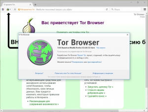 Tor Browser Bundle 7.0.7 Final [Ru/En]